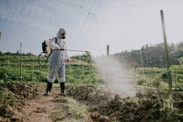 Best Best Pest Control Companies  in Pullman, WA
