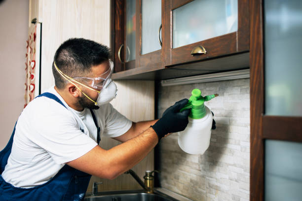 Best Termite Control Services  in Pullman, WA