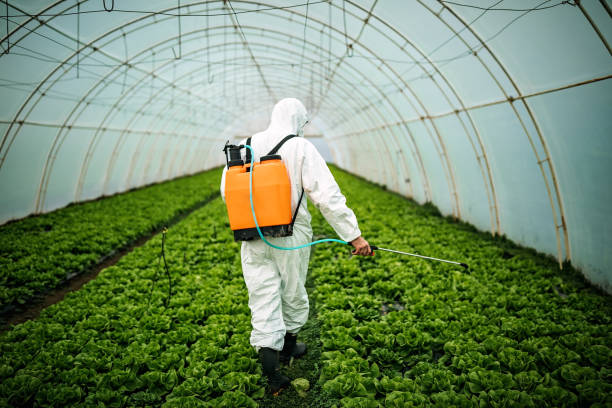 Best Affordable Pest Control Services  in Pullman, WA