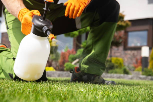 Best Pest Removal Services  in Pullman, WA