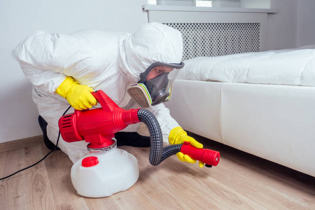 Reliable Pullman, WA Pest Control Solutions