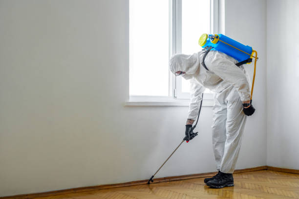 Best Affordable Pest Control Services  in Pullman, WA