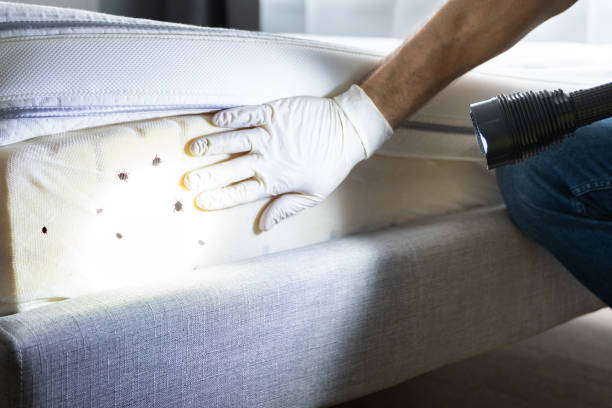 Best Pest Prevention Services  in Pullman, WA