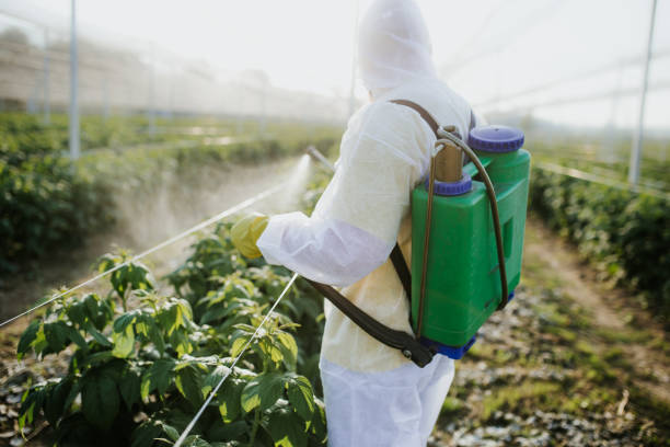 Best Pest Control Cost  in Pullman, WA